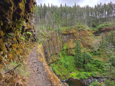 Eagle Creek Trail Columbia River Gorge