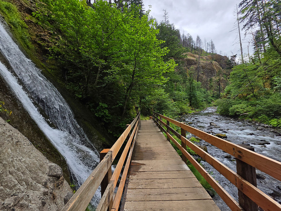 Wahclella Falls Trail