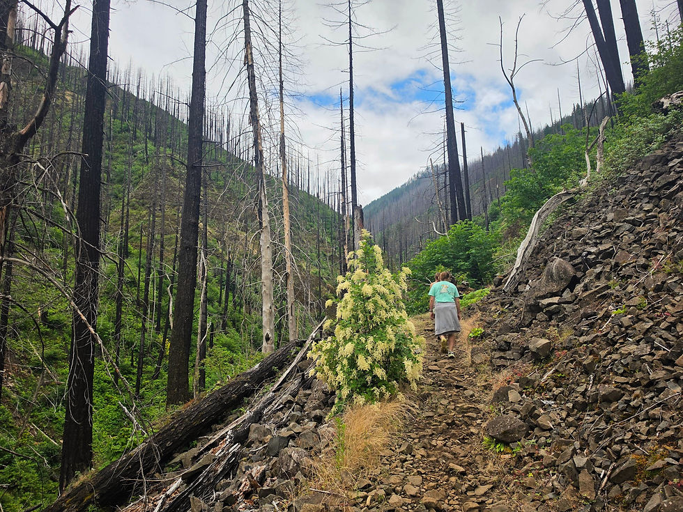 Triple Falls Trail Columbia River Gorge