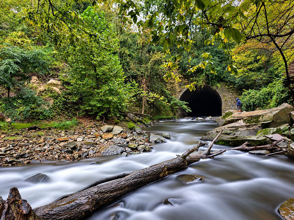Viaduct Park Bedford Reservation