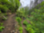 Elowah Falls Trail
