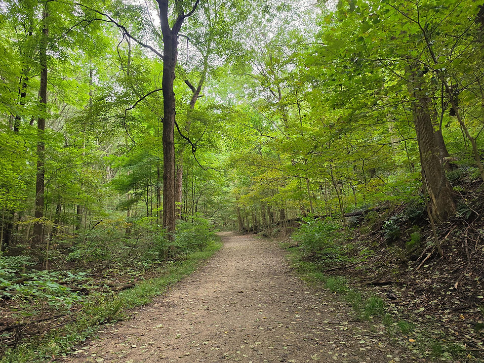 Indian Spring Trail Munroe Falls Metro Park Akron
