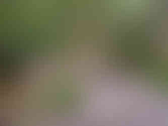 Endless Wall Trailhead