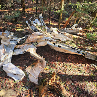 Calloway Peak plane crash 