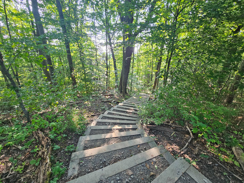 Kaymoor Miners Trail