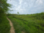 Adam Run Loop