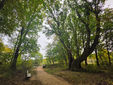 Chippewa Trail Silver Creek Metro Park