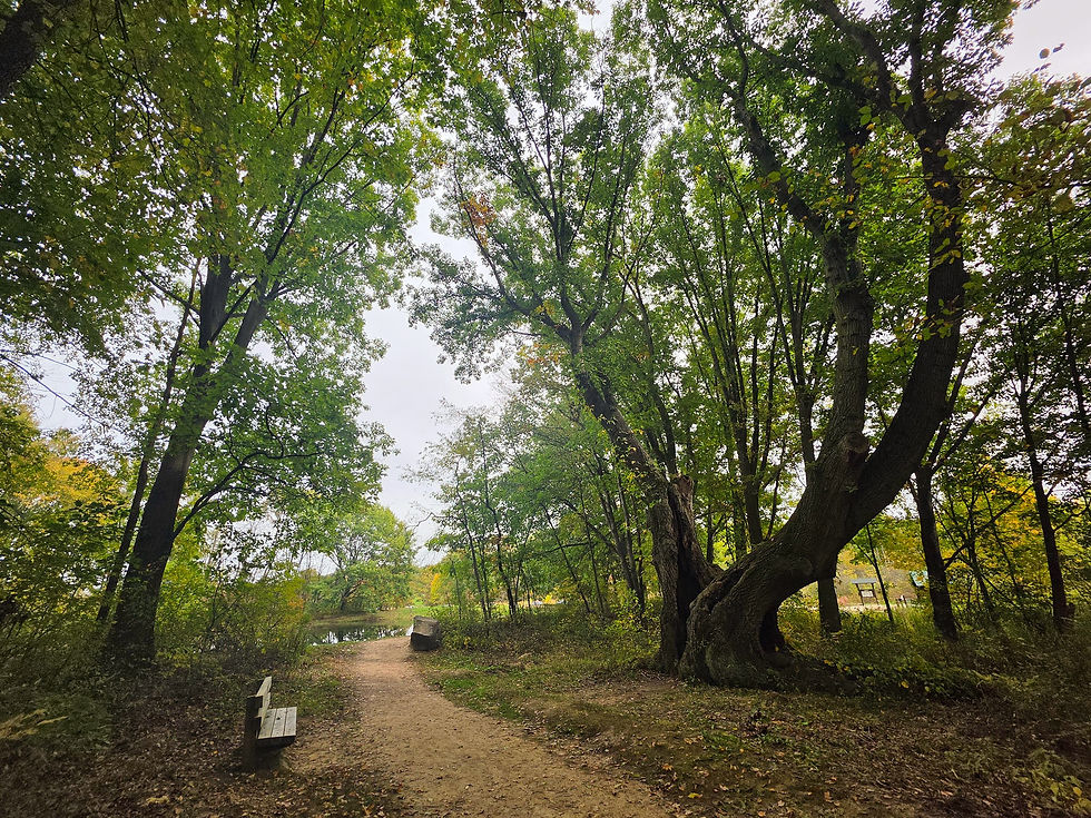 Chippewa Trail Silver Creek Metro Park