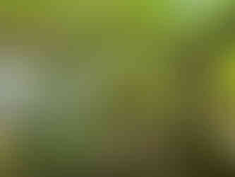 Kaymoor Miners Trail