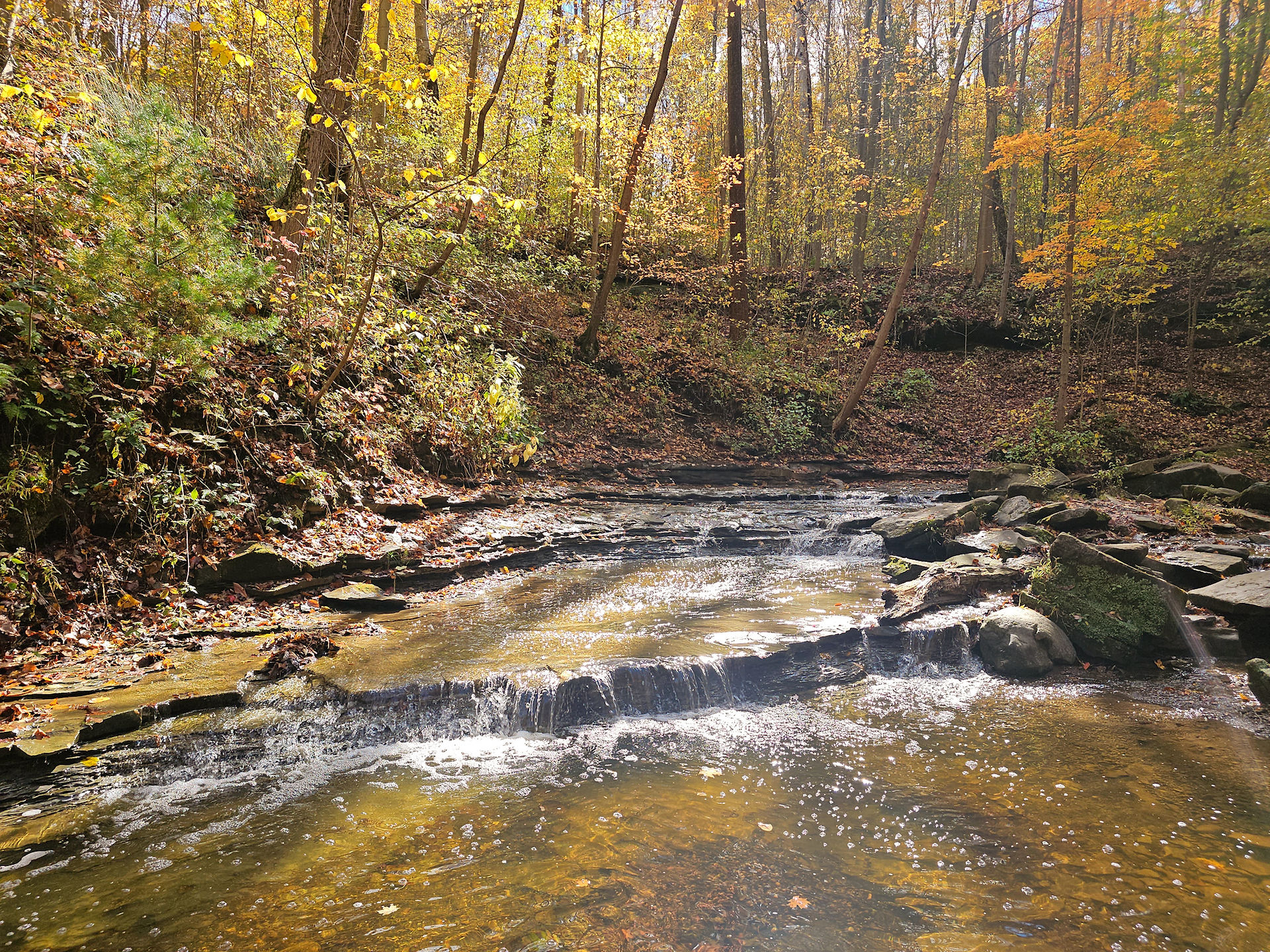 Spring Creek Cuyahoga Valley