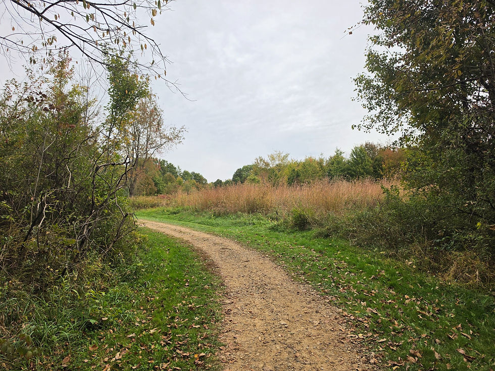 Chippewa Trail Silver Creek Metro Park