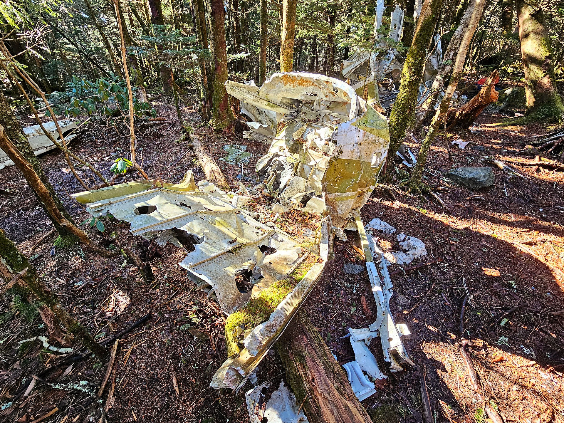 Calloway Peak plane crash 