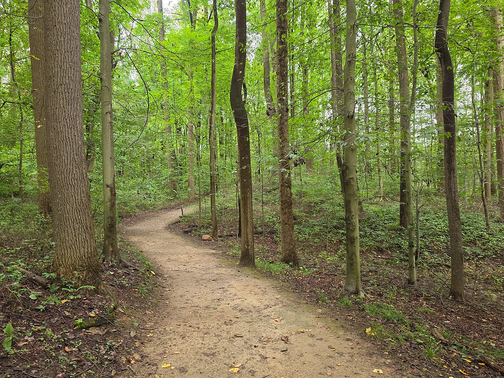 Indian Spring Trail Munroe Falls Metro Park Akron