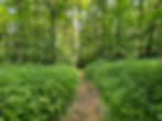 Wetmore Bridle Trail Cuyahoga Valley National Park