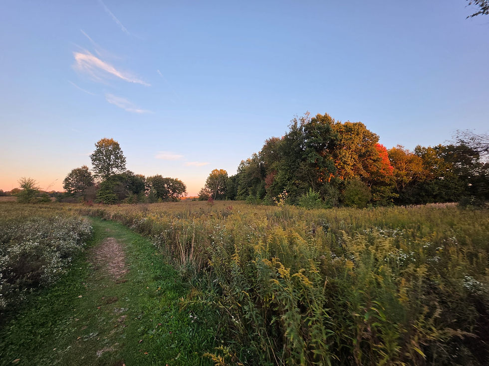 Springfield Bog Prairie Loop