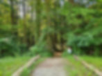 Perkins Trail Cuyahoga Valley