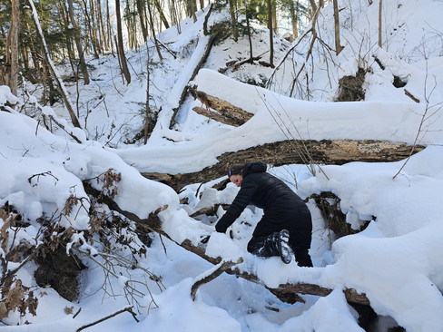 Raccoon and Romane Falls hike Cuyahoga Valley National Park