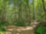 Plateau Trail Cuyahoga Valley National Park