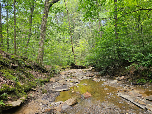 Wetmore Bridle Trail Cuyahoga Valley National Park