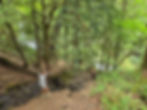 Spirit Falls Trail Columbia River Gorge