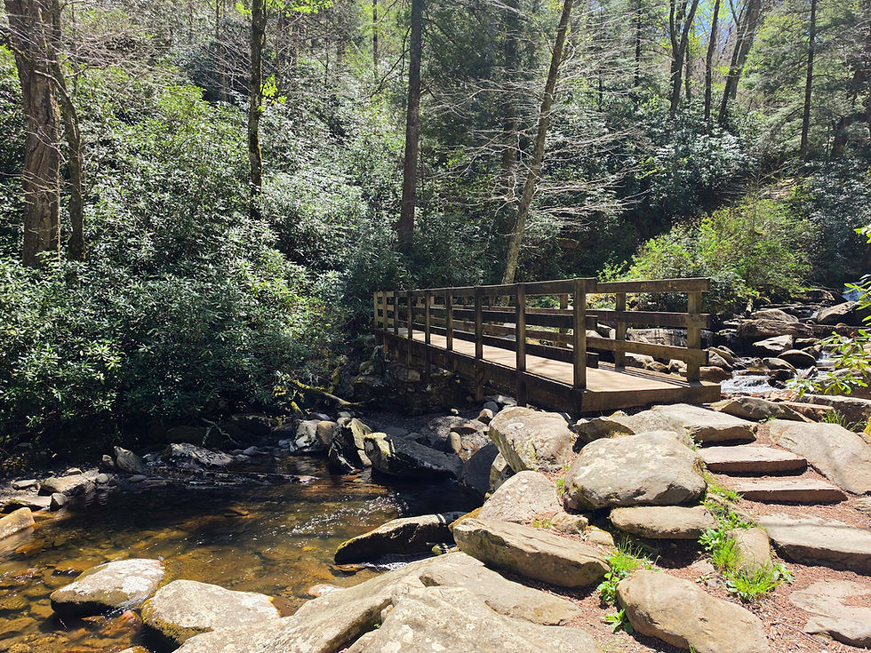 Chimney Tops Trail Great Smoky Mountains National Park
