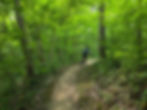 CVNP mountain bike trails