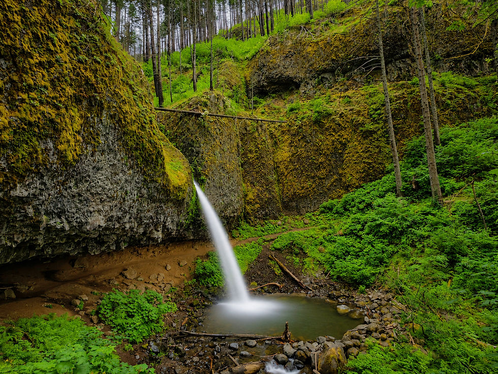 Ponytail Falls Columbia River Gorge