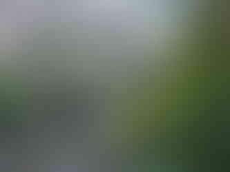 Alum Cave Trail Mount LeConte