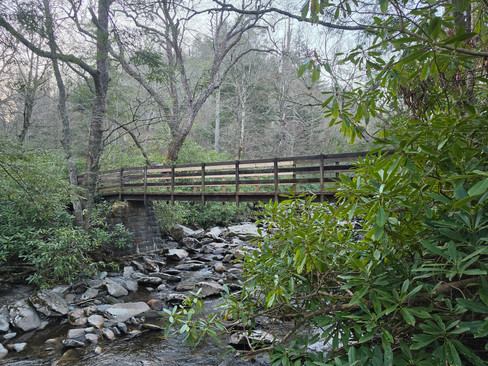 Alum Cave Trail Mount LeConte