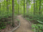 Deer Lick Cave Loop