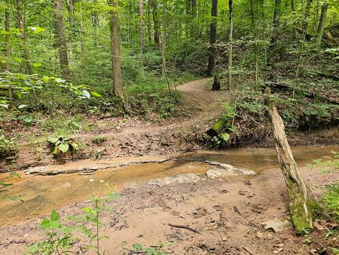 Wetmore Bridle Trail Cuyahoga Valley National Park