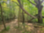Riding Run Trail Cuyahoga Valley National Park