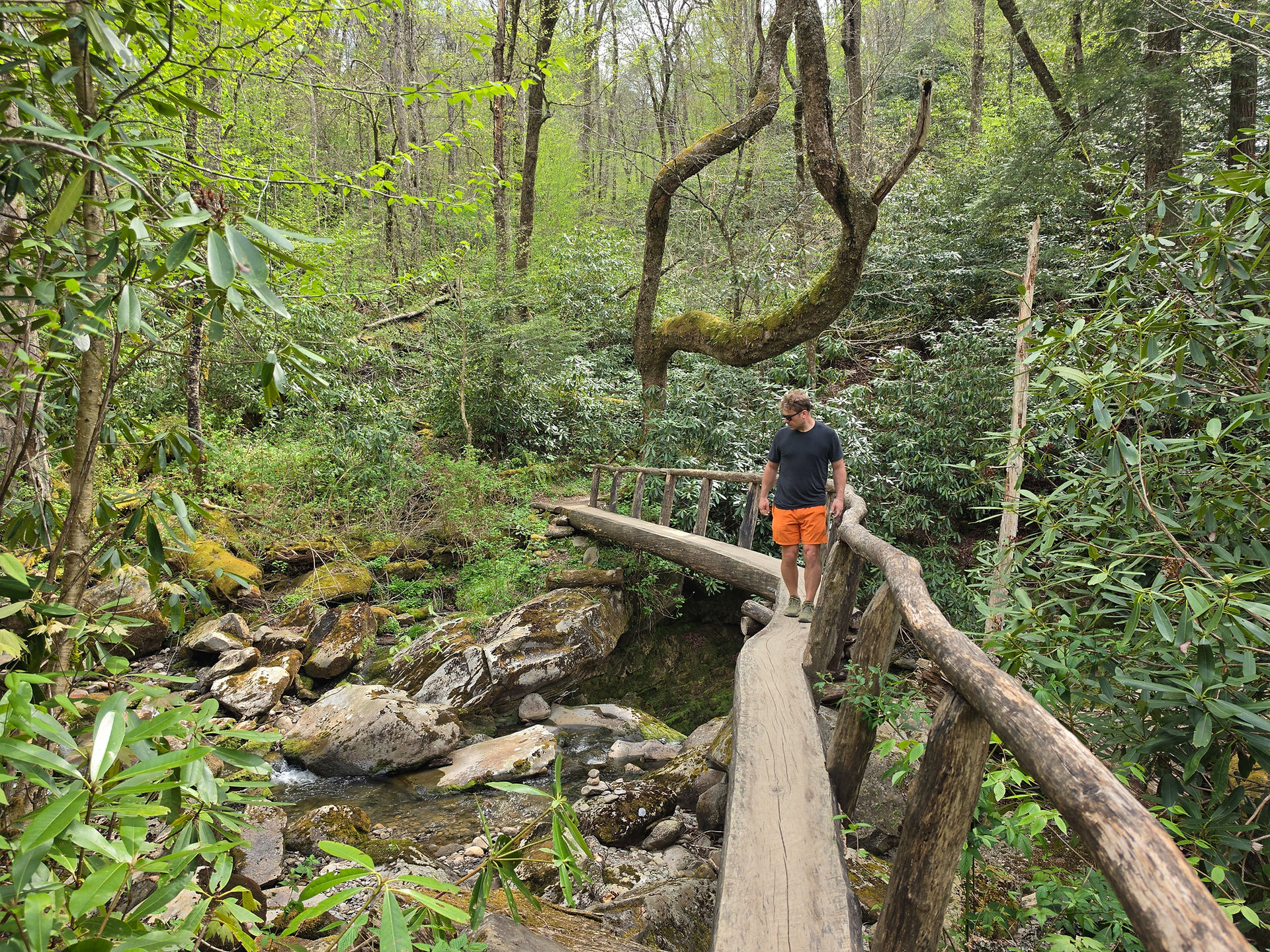 Ramsey Cascades Trail Great Smoky Mountains National Park