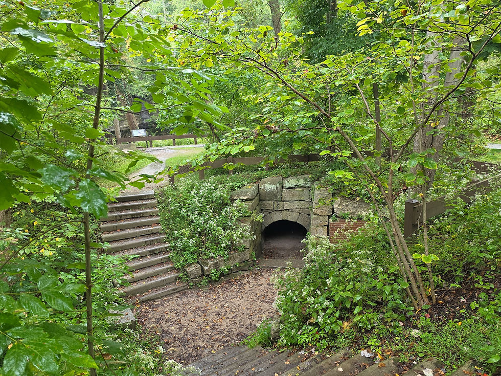 Viaduct Park Bedford Reservation