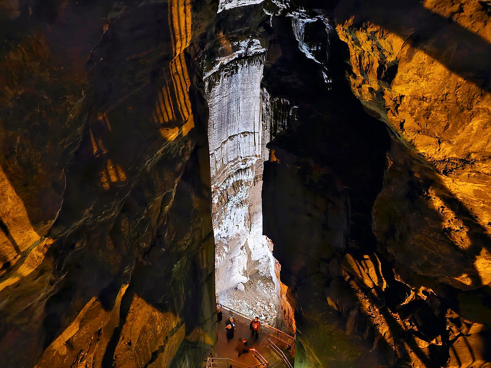 Crevice Pit Mammoth Cave