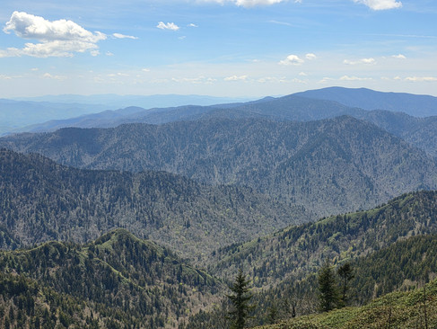 Myrtle Point Mount LeConte Great Smoky Mountains National Park