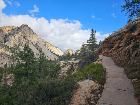 West Rim Trail Zion