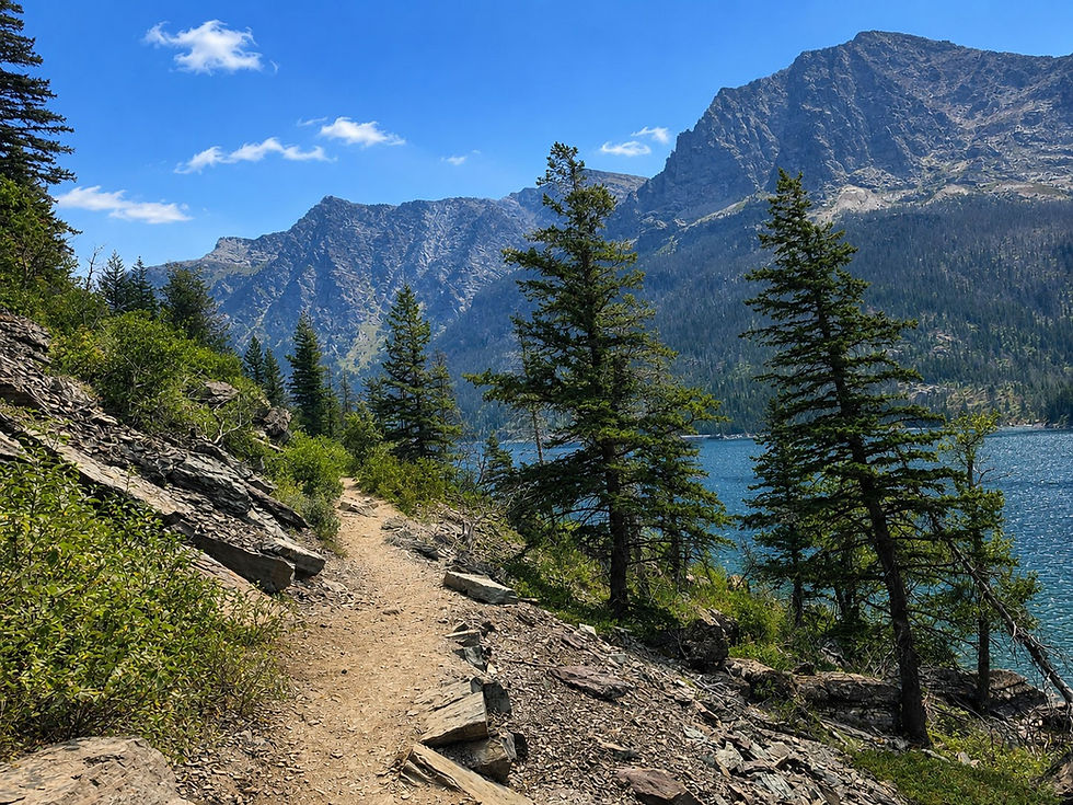 Sun Point Nature Trail Glacier National Park