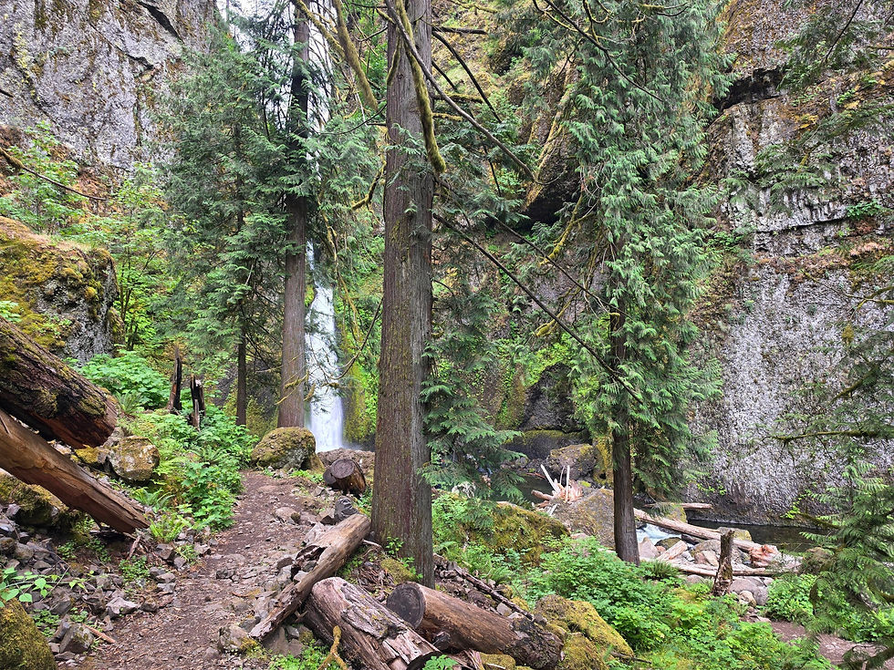 Wahclella Falls Trail