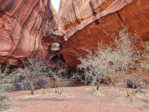 The Golden Cathedral: An Iconic Treasure in Grand Staircase-Escalante
