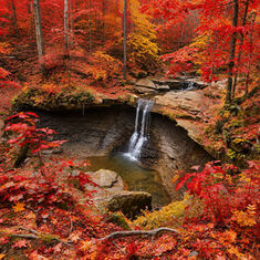 Blue Hen Falls fall colors Cuyahoga Valley National Park
