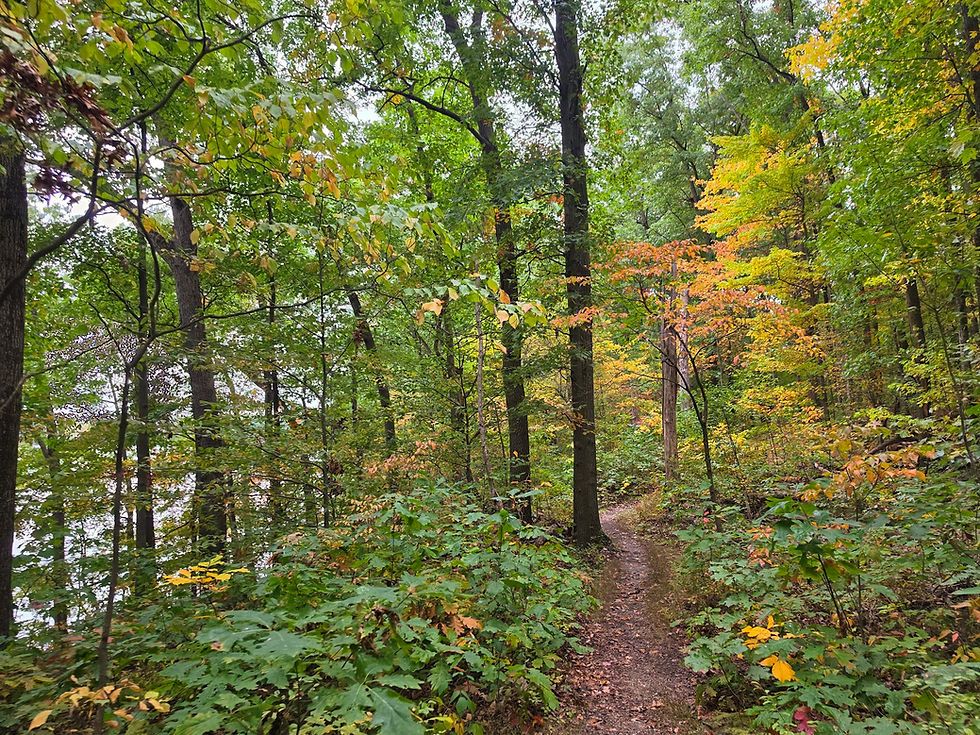 Towner's Woods Trail