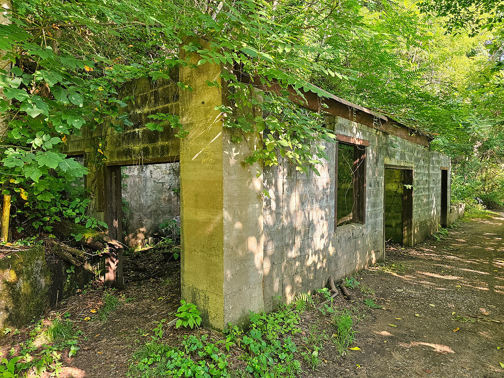 Kaymoor Miners Trail