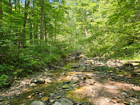 Perkins Trail Cuyahoga Valley
