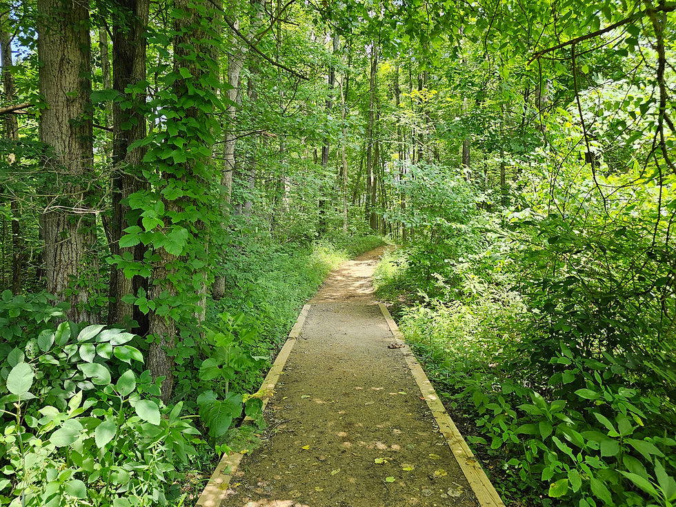 Wetmore Bridle Trail Cuyahoga Valley National Park