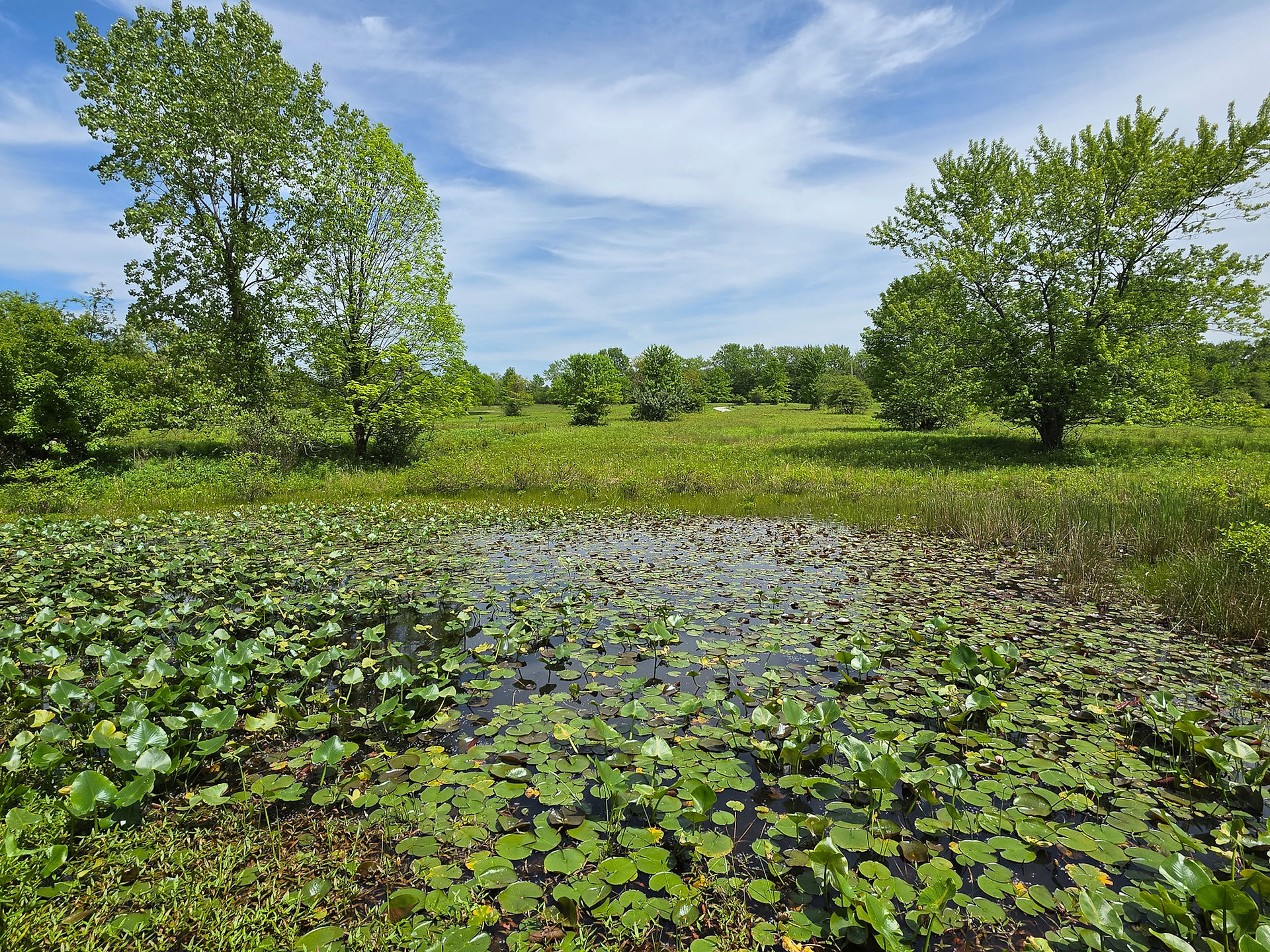 Penitentiary Glen Reservation