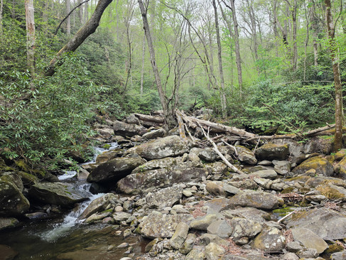 Ramsey Cascades Trail Great Smoky Mountains National Park