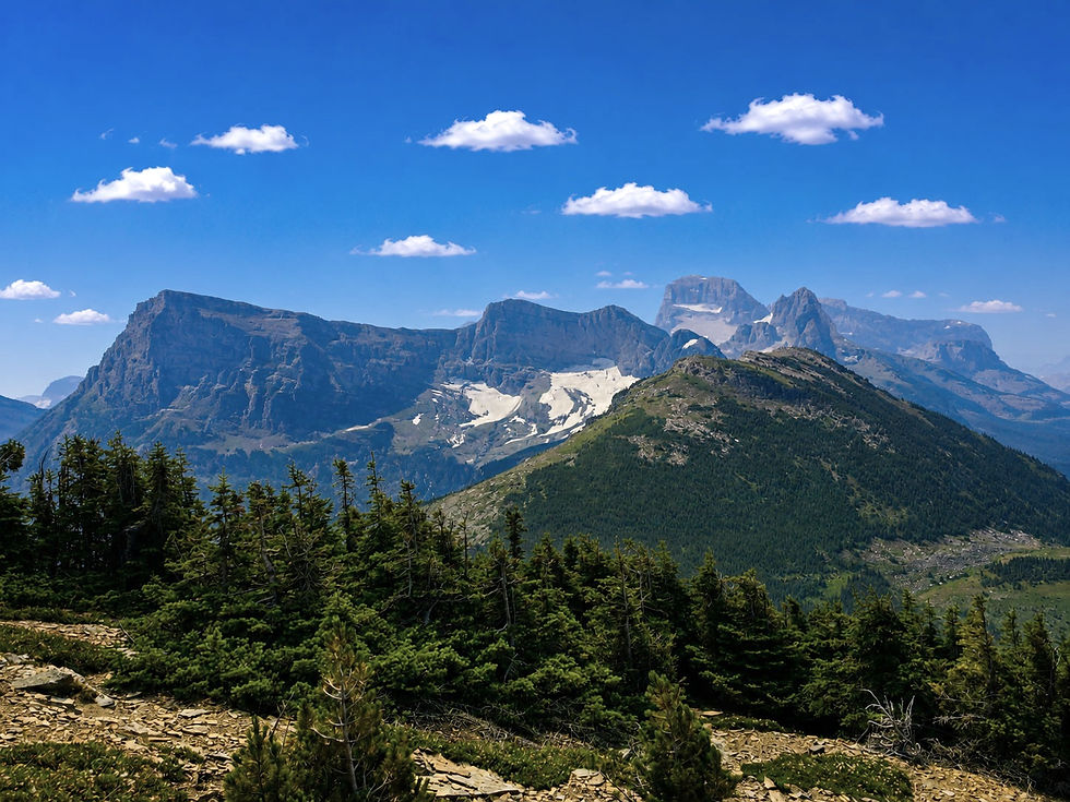 Swiftcurrent Mountain Lookout Trail