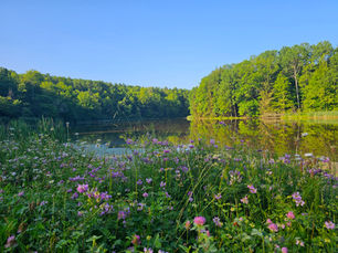 Short & Sweet: Hiking the Oak Hill Trail in Cuyahoga Valley National Park