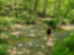Perkins Trail Cuyahoga Valley